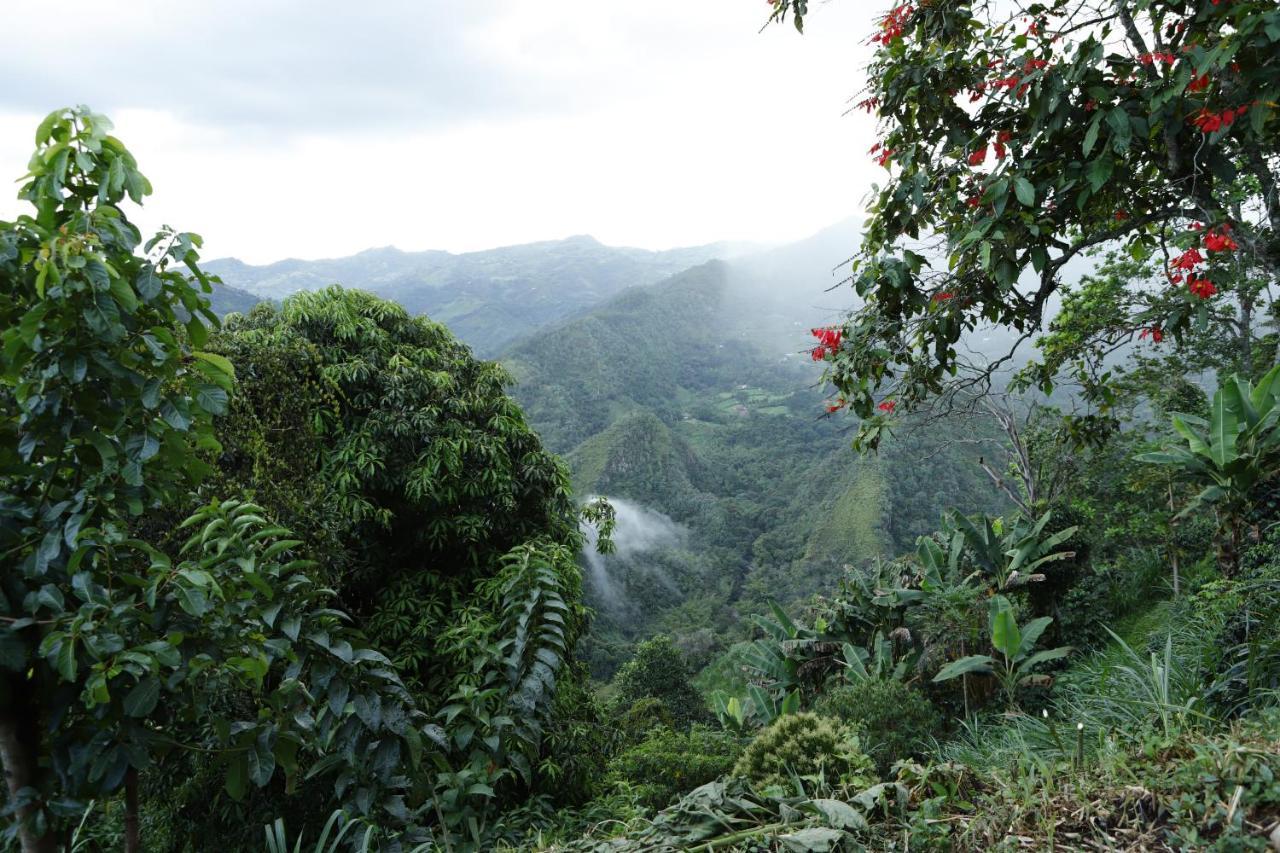 Ecohotel Monteverde La Vega  Ngoại thất bức ảnh
