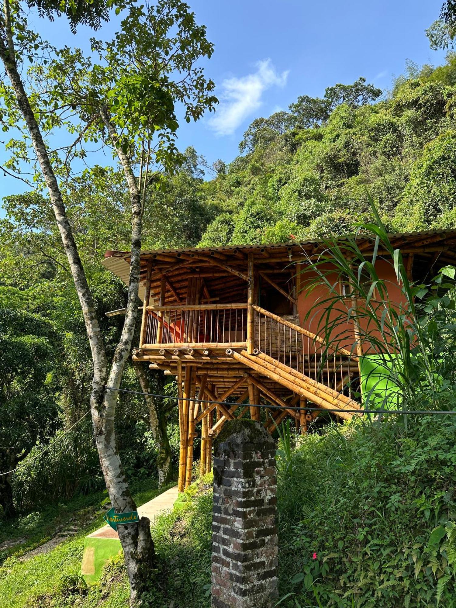 Ecohotel Monteverde La Vega  Ngoại thất bức ảnh