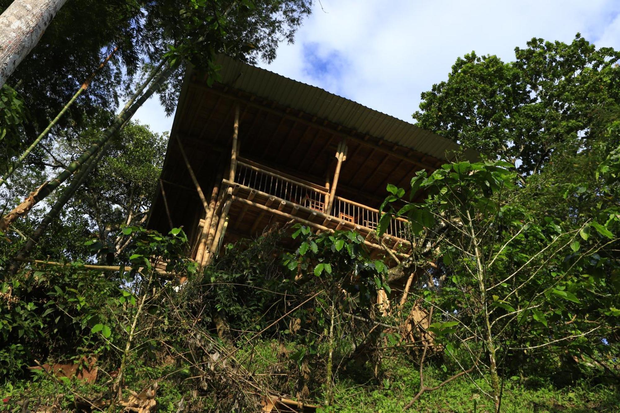 Ecohotel Monteverde La Vega  Ngoại thất bức ảnh