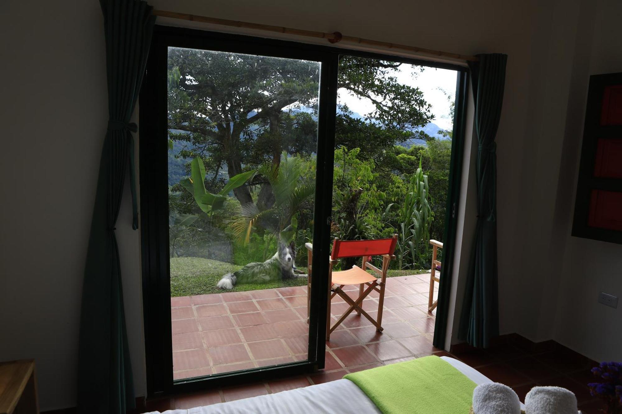 Ecohotel Monteverde La Vega  Ngoại thất bức ảnh